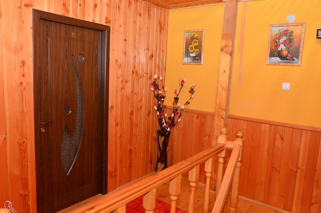 Pensiunea Deea Băile Herculane Extérieur photo