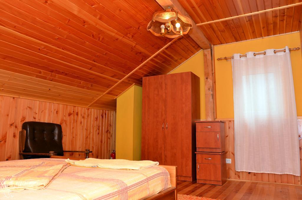 Pensiunea Deea Băile Herculane Extérieur photo