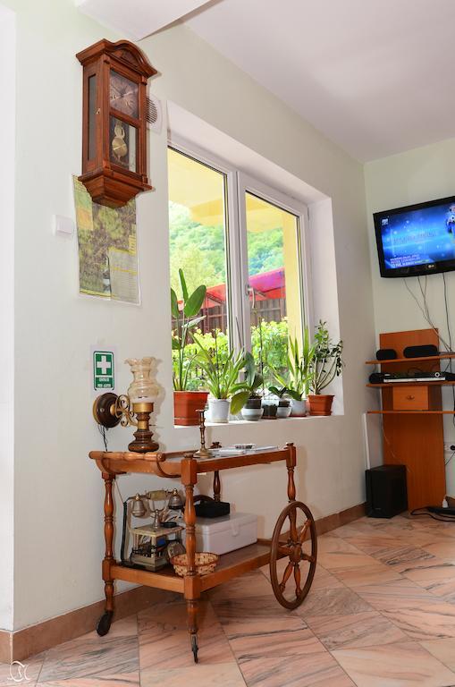 Pensiunea Deea Băile Herculane Extérieur photo