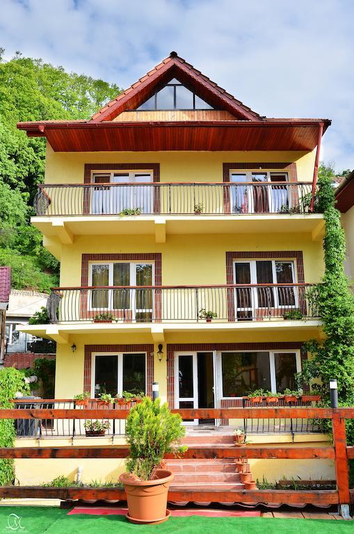 Pensiunea Deea Băile Herculane Extérieur photo